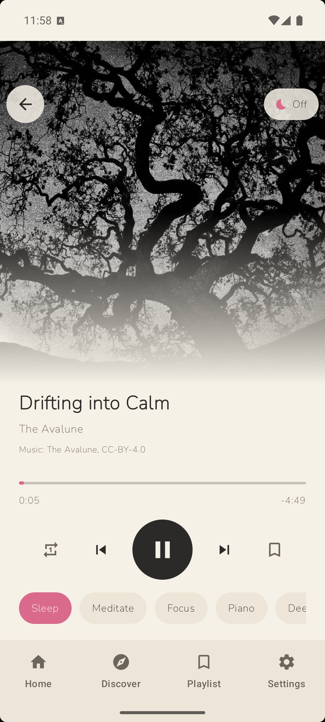 Calmink playing over ink-black branches